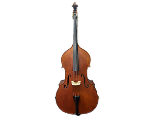 Gliga Gems II Violin Shape/F.Back