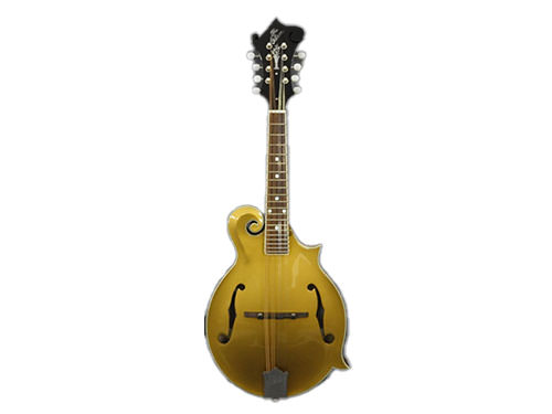 Gibson THE GIBSON ARTIST MODEL Gold Top