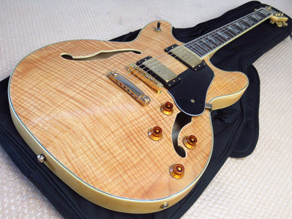 Washburn ワッシュバーン  HB-35NK セミアコースティックギター